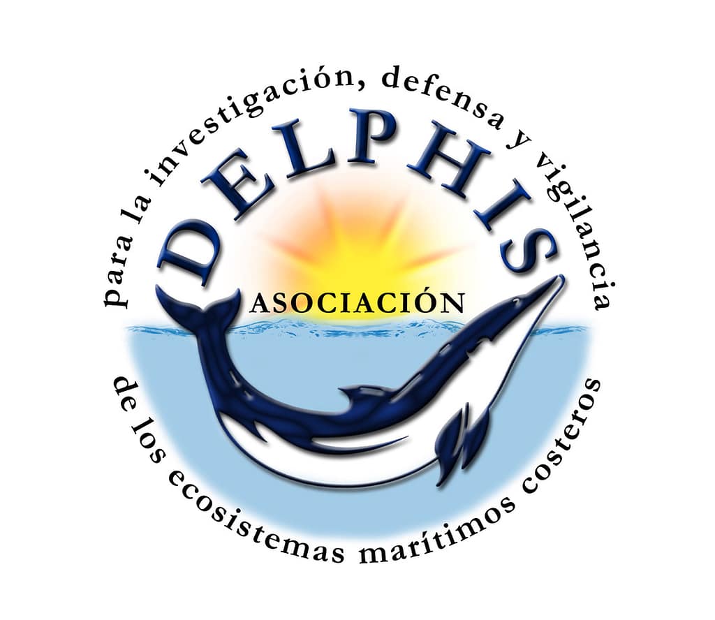 Delphis Foundation round the world